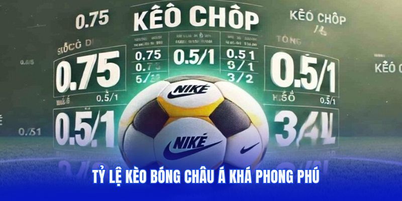 Tỷ lệ kèo bóng châu Á khá phong phú